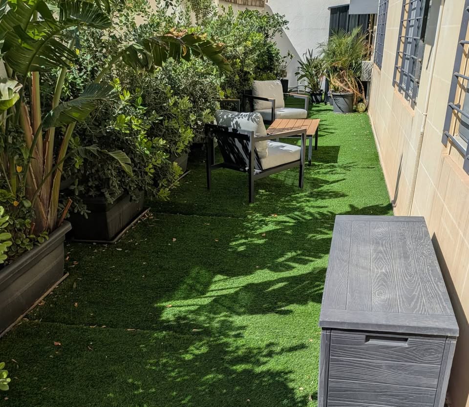 image – 2026-03-31T105535.789