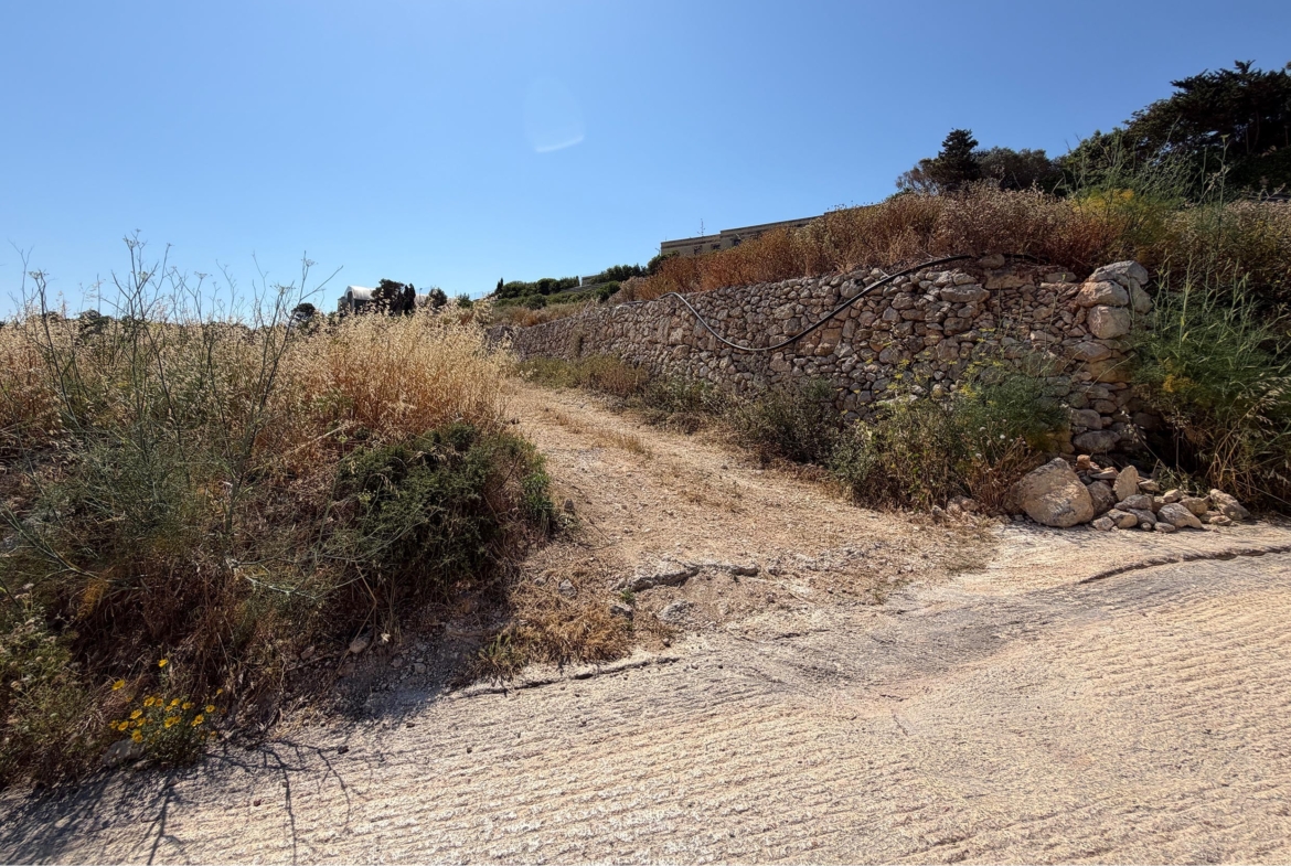 Agricultural Land