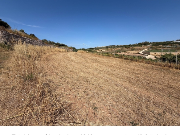 Agricultural Land