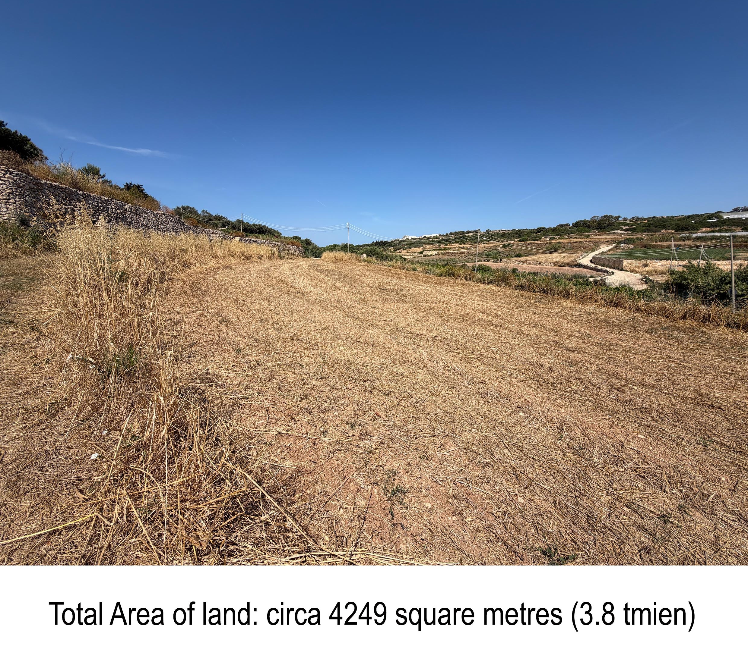 front Agricultural Land